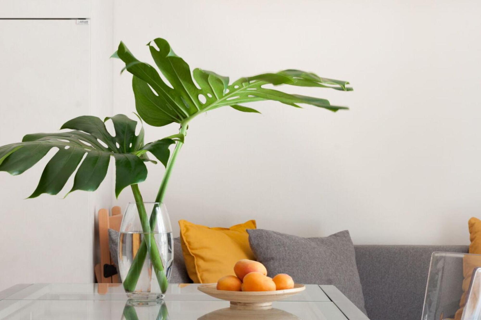 Italian Experience-Lungarno Suite Apartment 佛罗伦萨 外观 照片